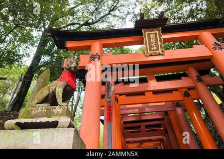 Kyoto, JAPON-NOV 28:sculpture en pierre de la statue du symbole du renard au sanctuaire de fushimi inari taisha le 28 novembre 2016. Le sanctuaire de Fushimi inari taisha est un de att Banque D'Images
