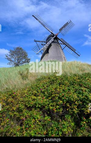 Un moulin dans le village de pêcheurs de Skagen Banque D'Images