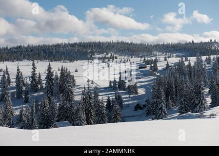 Paysage alpin avec montagnes enneigées, sapins et pinède en hiver Banque D'Images