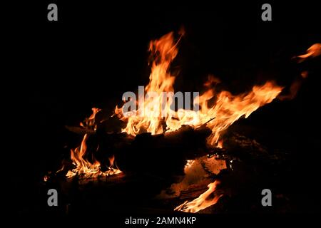 Feu de joie flamme feu de joie nuit. Les billes de bouleau brûlent dans un feu. Banque D'Images