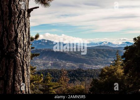 Mt San Jacinto Et La Forêt Nationale De San Bernadino Banque D'Images