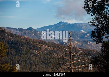 Mt San Jacinto Et La Forêt Nationale De San Bernadino Banque D'Images