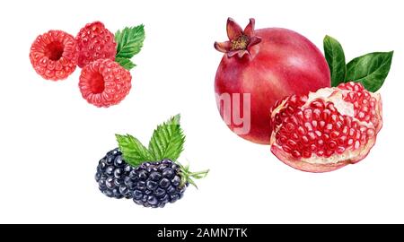 Grenade framboise composition blackberry aquarelle isolée sur fond blanc Banque D'Images