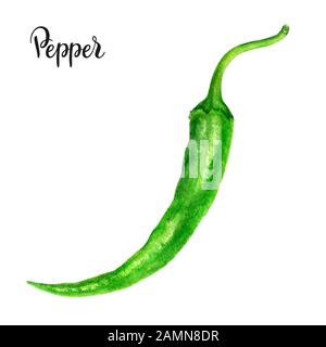 Piment vert chaud aquarelle isolée sur fond blanc Banque D'Images