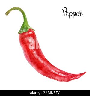 Piment rouge, aquarelle isolée sur fond blanc Banque D'Images