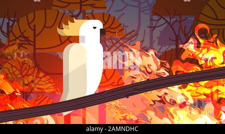 cockatoo assis sur des feux de forêt de branche en australie animal mourant dans des feux de forêt bushfire brûlant des arbres catastrophe naturelle concept intense de flammes orange illustration vectorielle horizontale Illustration de Vecteur