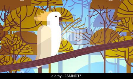 cockatoo assis sur la branche faune sauvage australienne concept paysage fond horizontal illustration vectorielle Illustration de Vecteur