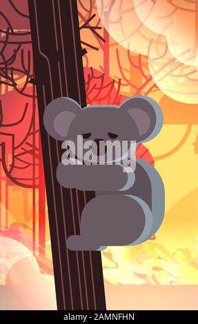 ours koala en danger sur les animaux d'arbre mourant dans le feu de brousse développement de feu de brousse bois sec brûlant arbres naturel concept catastrophe intense orange flammes illustration verticale vecteur Illustration de Vecteur