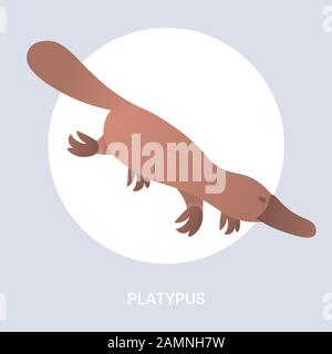 platypus icône caricature en voie de disparition symbole d'animal sauvage australien faune espèce concept plate illustration vectorielle Illustration de Vecteur