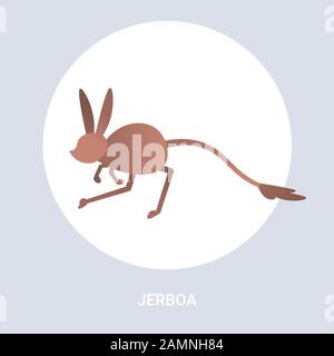 jerboa icône dessin animé sauvage sauvage australien jaculus animal symbole faune espèces concept plat illustration vectorielle Illustration de Vecteur