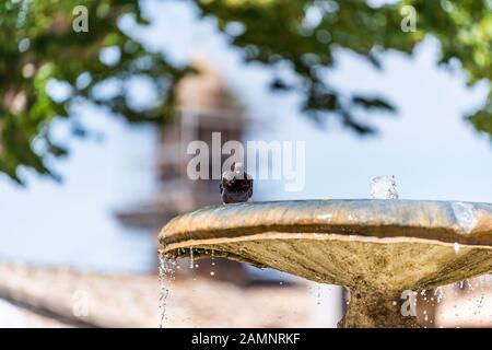 Village historique de la ville appelé Assise en Ombrie Italie pendant la journée ensoleillée avec fontaine d'eau de rue et oiseau de pigeon avec fond de ciel parc Banque D'Images