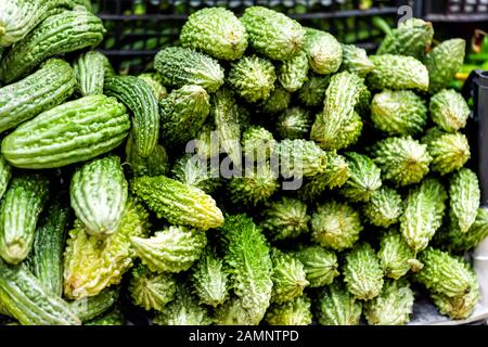 Gros plan de tas de légumes de melon amère vert sur l'affichage des magasins d'alimentation des agriculteurs à Florence, en Italie Banque D'Images