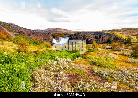 Hjalparfoss cascade paysage vue grand angle des buissons orange vert feuillage dans le cercle d'or du sud de l'Islande en automne saison Banque D'Images