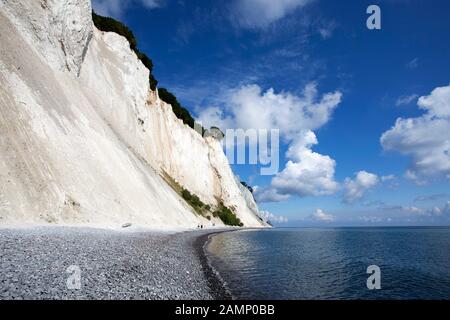 Moens Klint falaises de craie, Møn, Mons Klint, Moen, mer Baltique, Danemark, Scandinavie, Europe Banque D'Images