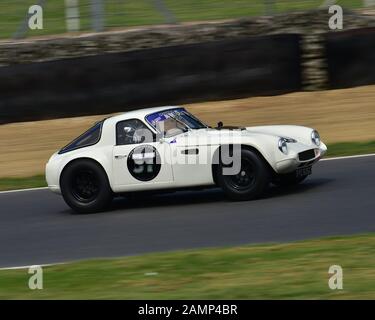 Mike Gardiner, Dan Cox, Tvr Griffith 200, Guards Trophy, Hscc Legends Of Brands Hatch Super Prix, Juin 2019, 2019, Autosport, Brands Hatch, Cars, Clas Banque D'Images