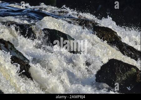 Gros plan d'eau blanche à écoulement rapide sur un émir rocheux sur la rivière Rheidol (chute d'eau) Banque D'Images