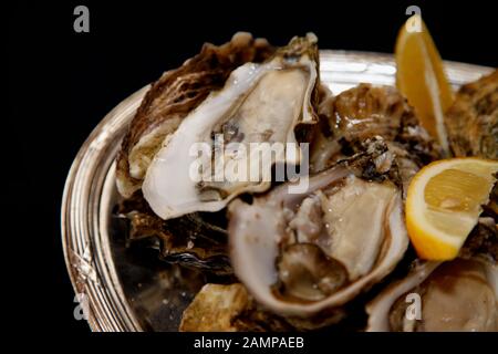 Gros plan d'un plateau d'huîtres fraîches garni de quartiers de citron. Banque D'Images