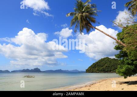 Se penchant palmiers de Las Cabanas beach à El Nido, l'île de Palawan, Philippines. Banque D'Images