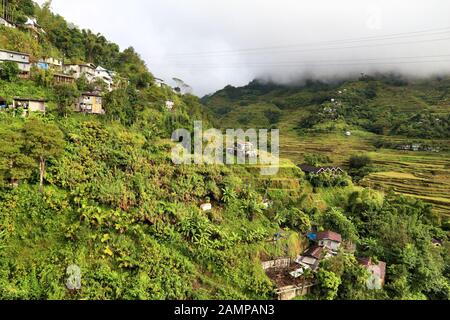 Philippines riz terrasse paysage - la culture du riz dans la région de Banaue. Banque D'Images