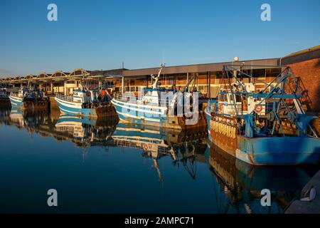 Sur Quai Gallieni, Dieppe, les chalutiers sont des amarres quayside sur Quai Gallieni dans le bassin Duquesne Banque D'Images