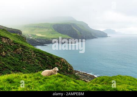 Vue estivale de l'île de Mykines, îles Féroé, Danemark. Photographie de paysage Banque D'Images