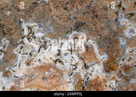 Texture d'arrière-plan en marbre de pierre marron détaillée. Banque D'Images