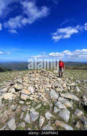 Walker On Seat Sandal Fell, Grisedale Forest, Lake District National Park, Cumbria, Angleterre, Royaume-Uni Banque D'Images