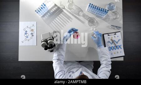 Employé de laboratoire qui examine le liquide violet dans la fiole, en ajoutant du réactif, vue de dessus Banque D'Images