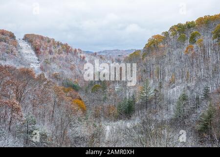 Après une chute de neige en automne. Banque D'Images