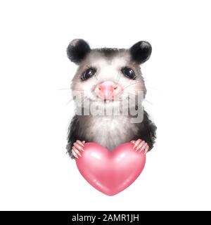 Portrait d'Opossum Banque D'Images