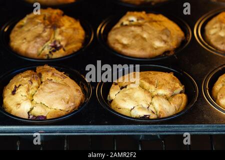 Muffins maison aux cerises dorées à la vanille de légumes sur un plateau à muffins noir dans un four éclairé - vue rapprochée, coudée, format horizontal Banque D'Images