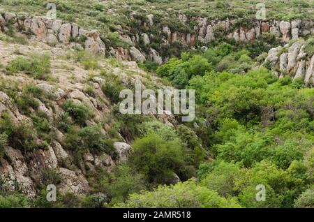 Biopark El Saucillo, vue imposante du sommet de l'aqueduc, Huichapan, Hidalgo, Mexique Banque D'Images