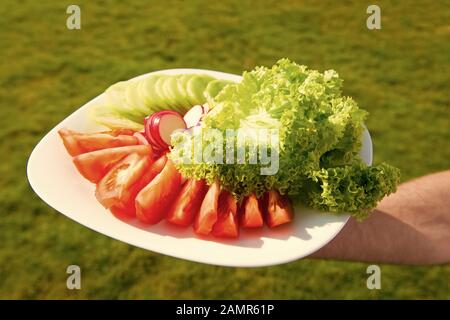 Fournir des avantages pour la santé. Restaurant végétarien. La nourriture végétarienne. Assiette de légumes frais mélangé avec les verts. Des plats végétariens ou à la viande. Végétalien sain ou plat végétarien. Banque D'Images