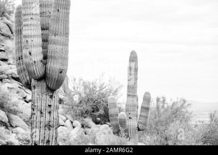 Paysages de désert rocheux escalade Camelback Mountain, Phoenix, Arizona. High-def, de beaux-arts d'image, noir et blanc pour une belle toile ou wallart. Banque D'Images