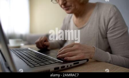 Une vieille dame qui essaie de taper sur un ordinateur portable à la maison, des cours d'ordinateur, une formation en ligne Banque D'Images