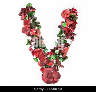 Lettre de l'alphabet latin en fleurs de rose sèche. Banque D'Images