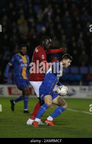 Shrewsbury, ANGLETERRE - 14 JANVIER Famara Diedhiou de Bristol City batailles pour le bal pendant la troisième ronde de la coupe de FA Replay entre Shrewsbury Town et Bristol City à Greenhous Meadow, Shrewsbury, le mardi 14 janvier 2020. (Crédit: Simon Newbury | MI News) la photographie ne peut être utilisée qu'à des fins de rédaction de journaux et/ou de magazines, licence requise à des fins commerciales crédit: Mi News & Sport /Alay Live News Banque D'Images