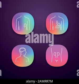 Ensemble d'icônes d'application organes humains sains. Rein et rate en bonne santé. Fonctionnement de l'estomac. Cerveau sain. Interface utilisateur UI/UX. Application Web ou mobile Illustration de Vecteur