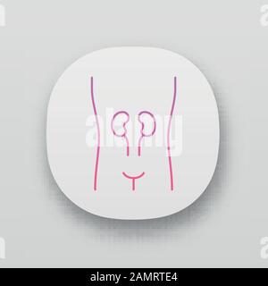 Icône d'application reins sains. Organe humain en bonne santé. Bien-être des personnes. Système urinaire sain. Interface utilisateur UI/UX. Applications Web ou mobiles. Vec Illustration de Vecteur