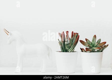 Ornement UNICORN à côté de deux plantes succulentes Banque D'Images