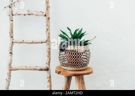 Planter dans un porte-macrame sur un tabouret en bois à côté d'une échelle Banque D'Images