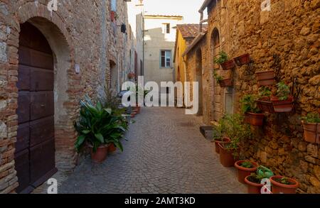 Bibbona, Livourne, Toscane, Italie Banque D'Images