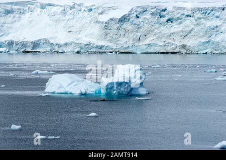 Antarctique - la nageoire dorsale d'une Orca est vue dans l'eau à côté du petit iceberg avec glace de glacier en arrière-plan. Banque D'Images