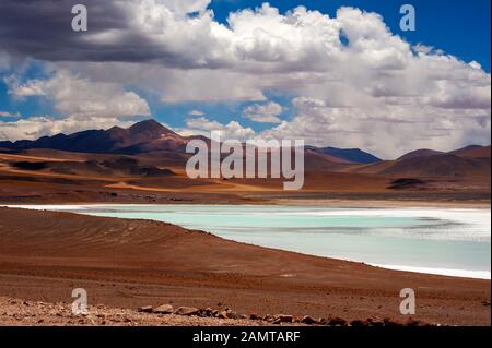 Laguna Tuyaito vu de la Ruta 23, Désert d'Atacama, Antofagasta, Chili Banque D'Images