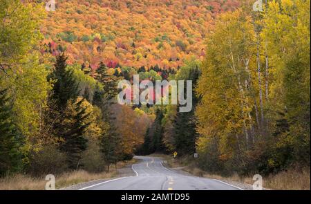 Route à travers la forêt d'automne, Oquossoc, Franklin County, Maine, États-Unis Banque D'Images