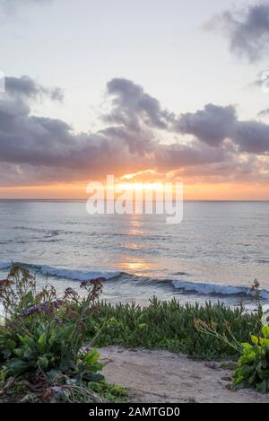 Scène d'hiver côtière. La Jolla, Californie, États-Unis. Cette vue est au-dessus de la plage de Wipeout. Banque D'Images