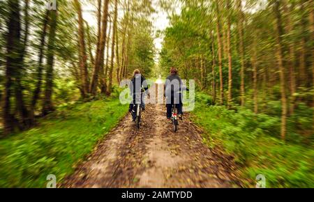 Assen, Pays-Bas - 20 septembre 2011: Une paire de cyclistes se trouvent sur un sentier de randonnée à travers les bois de Drenthe aux Pays-Bas. Banque D'Images