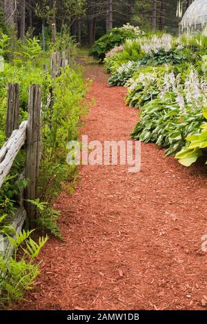 Clôture rustique en bois et paillis de cèdre rouge à travers les frontières avec les plantes Hosta et les fleurs d'Astilbe dans le jardin privé d'arrière-cour en été. Banque D'Images