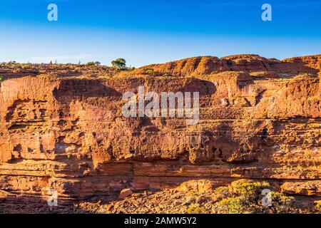 Le mur sud massif du Kings Canyon dans le parc national de Watarrka. Territoire Du Nord, Australie. Banque D'Images