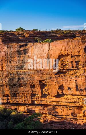 Le mur sud massif du Kings Canyon dans le parc national de Watarrka. Territoire Du Nord, Australie. Banque D'Images